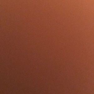 Meet your Posher, Kendyl